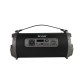 Rixus RXBS12 Bluetooth Party Box Speaker With Karaoke Microphone