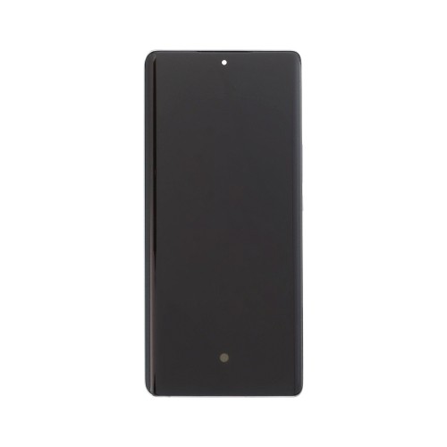 Huawei Honor Magic 5 Lite (RMO-NX3), Honor X9A (RMO-NX1) Display And Digitizer With Frame Titanium Silver OEM