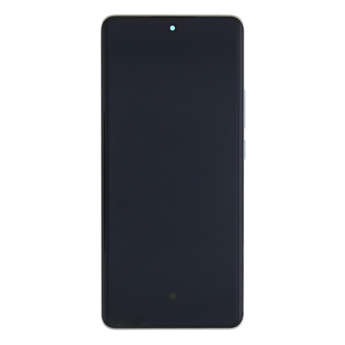 Oppo Reno 10 Pro 5G (CPH2525) Display And Digitizer With Frame Silvery Grey Service Pack