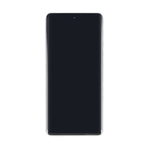 Oppo Reno 10 Pro (CPH2525) Display And Digitizer With Frame Silvery Grey OEM
