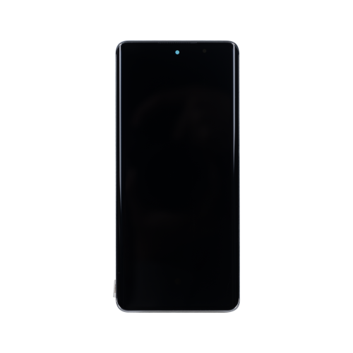 Oppo Reno 10 (CPH2531) Display And Digitizer With Frame Silvery Grey OEM