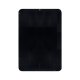 iPad Mini 6 Display Complete + Digitizer - Black